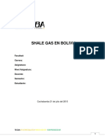 Bolivia shale gas 48 TCF potencial