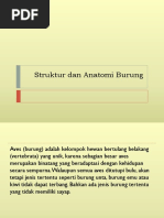Download Struktur Dan Anatomi Burung 1 by Eep SN355035405 doc pdf