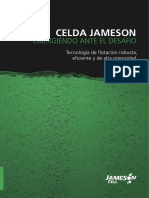 celdas jameson glencore.pdf