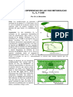 FISIOLOGIA - Fotosintesis prop plantas c3, c4, CAM.pdf