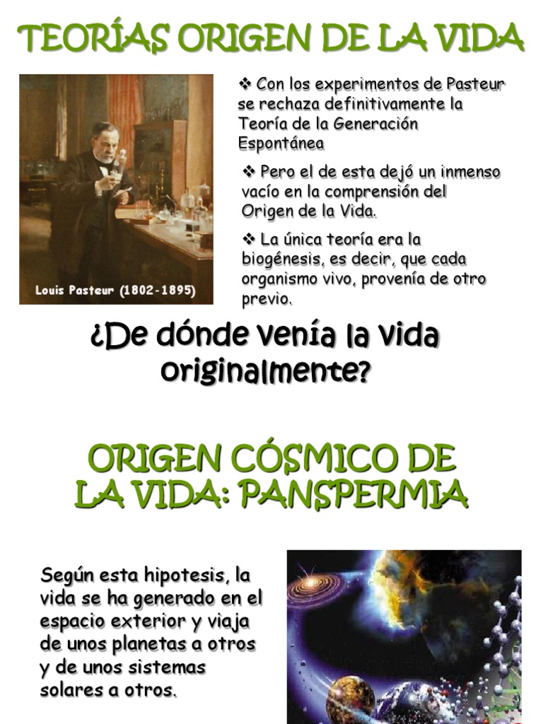 Teorias Del Origen de La Vida 2 | PDF | Abiogénesis | Naturaleza