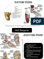 Anatomi Pedis Raisa