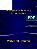 Radiographic Anatomy of Vertebrae
