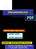 Endokrin 4