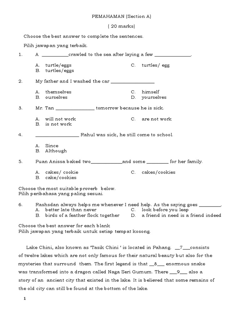English Comprehension Practice Test | PDF