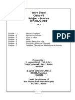 Ws Science English PDF