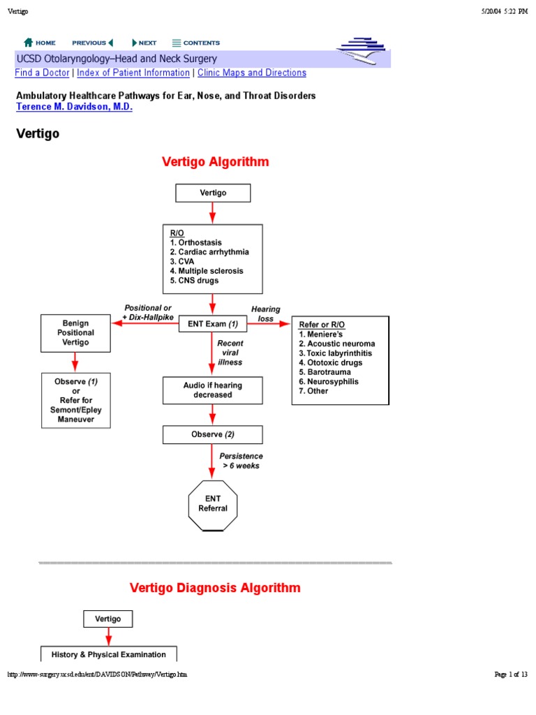 Understanding Vertigo and Labyrinthitis | PDF | Vertigo | Ménière's Disease