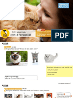 Animal Friends (A Persian Cat)