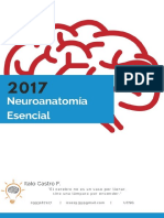 Neuroanatomia Esencial 2017