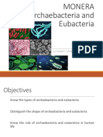 4095 - Archaebacteria Dan Eubacteria2016
