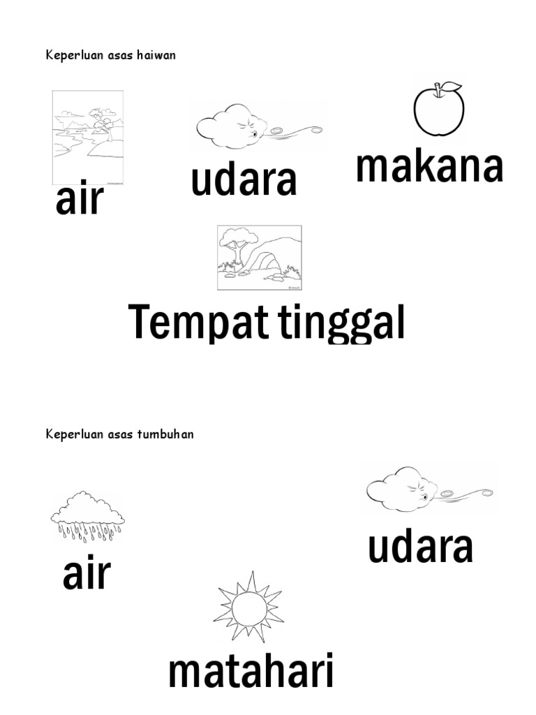 Keperluan Asas Benda Hidup Tp3 Pdf