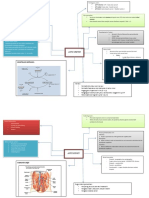 Mind Map Anatomi&Fisiologi Sistem Perkemihan