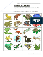 Classifying Reptiles Worksheet
