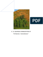 “El Bambú Colombiano”.pdf