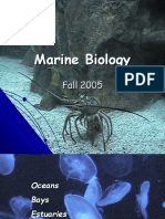 Marine Biology: Fall 2005