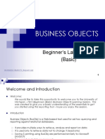 Business Objects: Beginner's Lab Session (Basic)