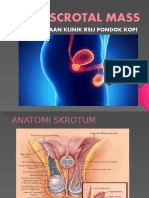 Scrotal Mass