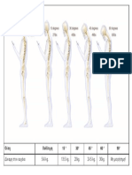 spine-study.pdf