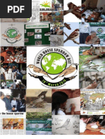 Download Report on the First World House Sparrow Day - Naresh Kadyan by Naresh Kadyan SN35510302 doc pdf