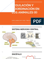 Regulación y Coordinación en Los Animales (II)