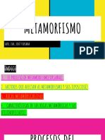 METAMORFISMO