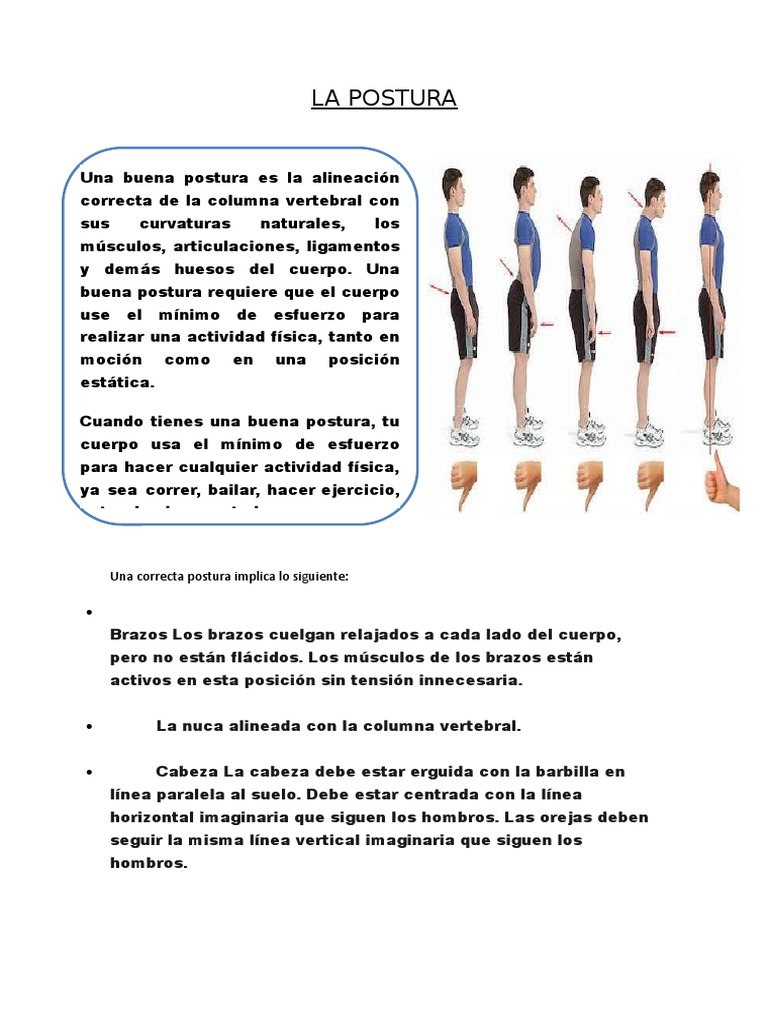 Guía Completa para una Postura Correcta | PDF | La columna vertebral ...