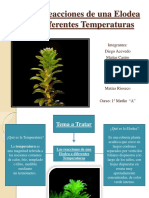 Experimento de La Variable Temperatura