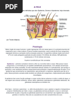 apostila sobre pele.pdf