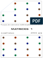 Matthews, G. - Matrices 1