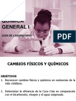 Guía Cambios Físicos y Químicos