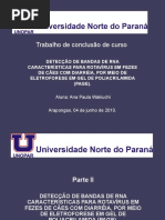 Apresentação Ana Paula Wakiuchi