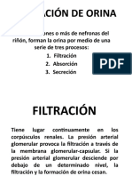 FORMACIÓN-DE-ORINA (1).pptx