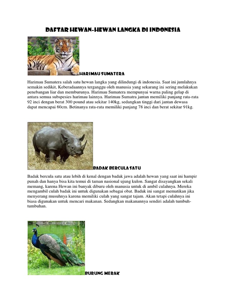 Daftar Hewan Docx