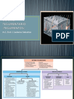 Sistema Tegumentario (Tegumentos)