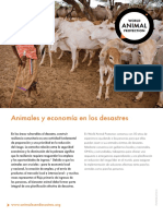 Animales y Economía en Los Desastres