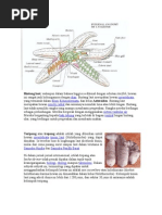 Download BINTANG LAUT by Hendrik_Nurfitrianto SN35513596 doc pdf