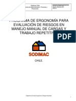 01 Programa de Ergonomia PDF