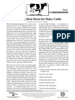 Reducing Heat Stress For Dairy Cattle