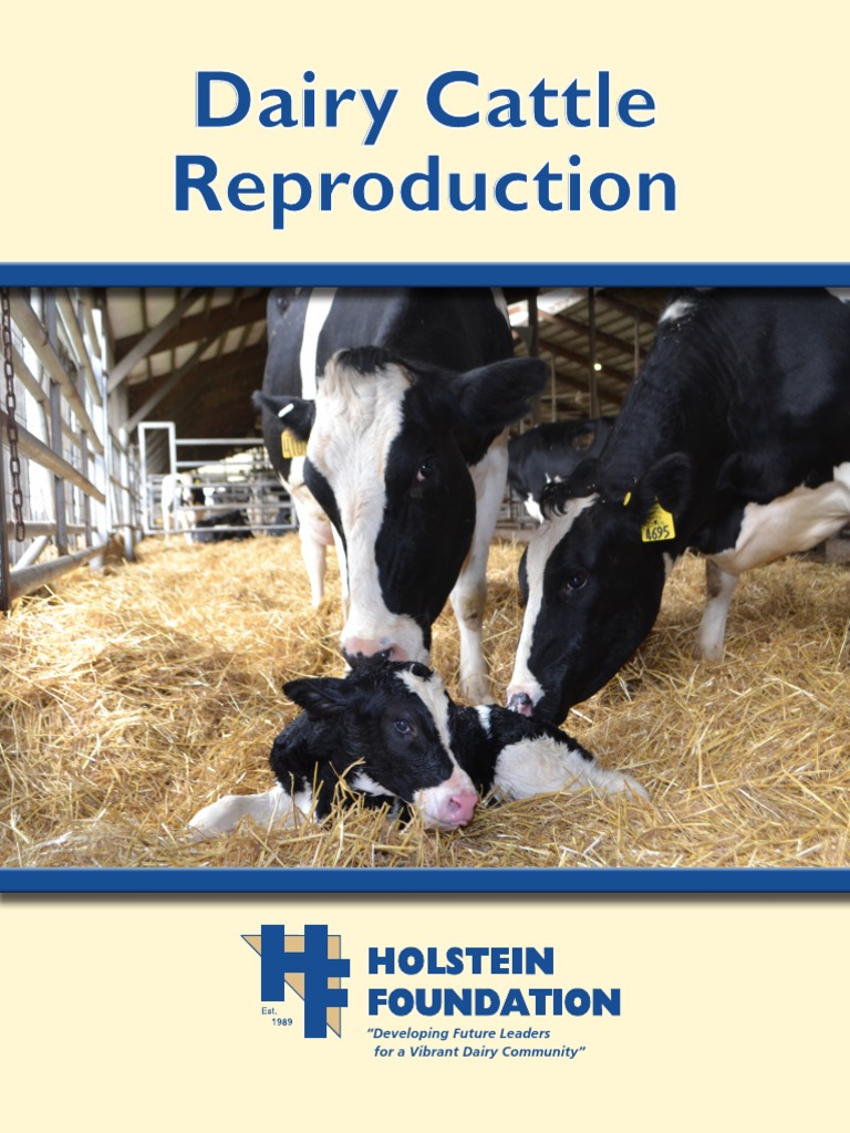 Dairy Cattle Reproduction Luteinizing Hormone Dairy Cattle Free