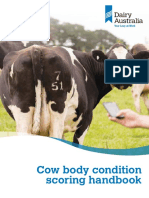 BCS HANDBOOK FULL BOOKLET-WEB Cow Body Condition Scoring Handbook 2 PDF