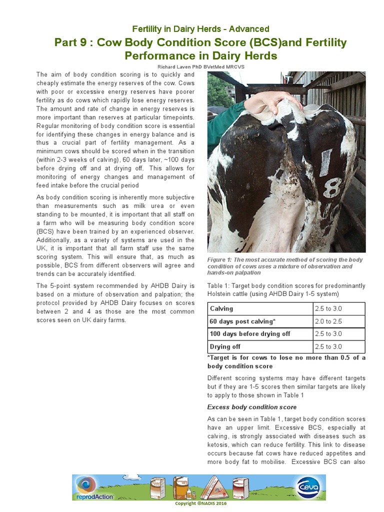 Part 9 Cow Body Condition Score (BCS)and Fertility Performance in Dairy