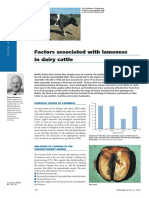 Factors Associated With Lameness in Cattle PDF