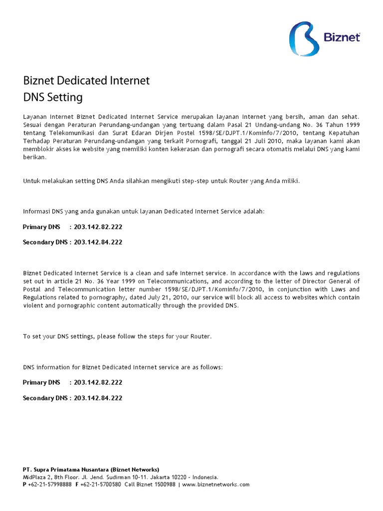 Biznet Dedicated Internet DNS Setting | PDF