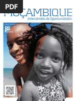 GESTÃO de RISCOS AMBIENTAIS Nos Investimentos Em Moçambique