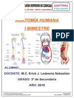 Material PCSC - Anatomía 3 Sec Primer Bimestre