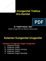 Kelainan Kongenital Urogenital