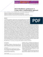 Distal Tibiofibular Syndesmosis Multimodality Anatomy