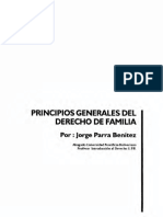 Dialnet PrincipiosGeneralesDelDerechoDeFamilia 5620620 PDF