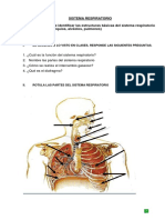 Guia de Ciencias Sistema Respiratorio