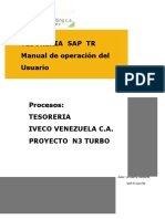 Manual de Tesoreria